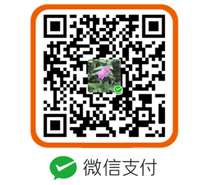 打開(kāi)手機(jī)掃一掃即可打賞